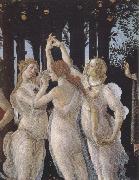 Sandro Botticelli La Primavera (mk39) oil painting reproduction